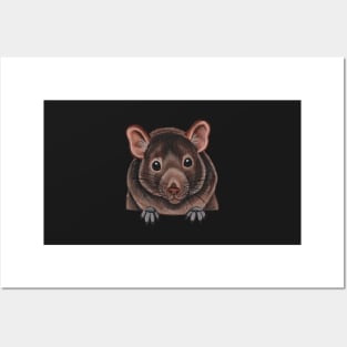 Degu Posters and Art